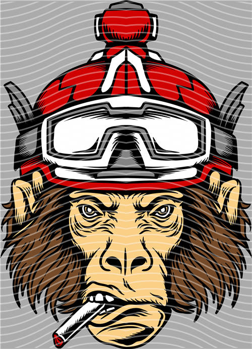 Street design-JT 4386